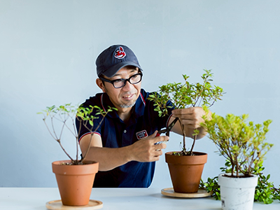 植木屋さん体験